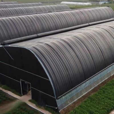 EE.UU./Ca Invernadero agrícola de película de túnel de una sola franja para hongos y verduras