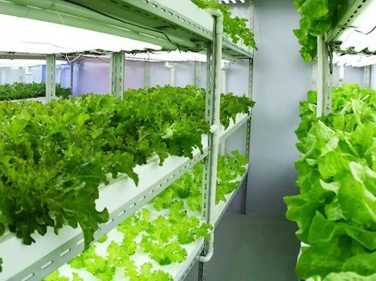 2000.000kg Espacio controlado por rociador de agua para semillas/hortalizas/frutas/flores