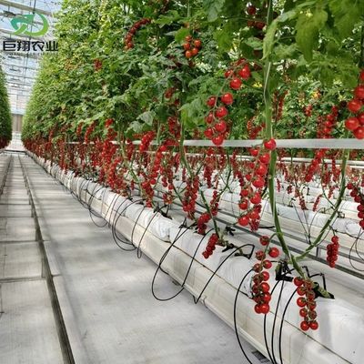 espesor de la película personalizada de plástico utilizado en la agricultura de la película hidropónica invernaderos