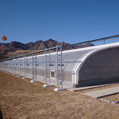 Acuicultura Invernadero de luz solar de doble arco con vibrador de nieve en zonas con mucha nieve