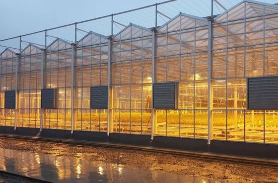 Solicitud personalizada Juxiang Tomate Pepinillo Lechuga Estructura Iluminación Invernadero