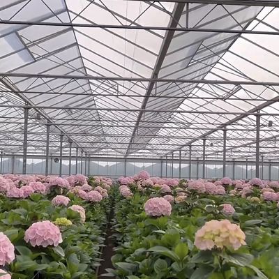 50.00cm * 60.00cm * 80.00cm Tamaño del paquete Sistema de cultivo hidropónico de invernadero de vidrio