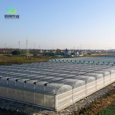 Invernadero agrícola de plástico de película de túnel de múltiples tramos con ventanas de 3 a 8 m de altura