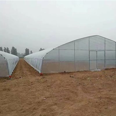 Techo arqueado Túnel de plástico de múltiples tramos para la agricultura JX-PC Casa verde para la agricultura