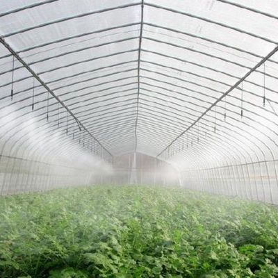 Producción a medida Producción de invernaderos para la agricultura Película de túnel de plástico de múltiples tramos