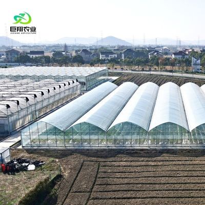 Solicitud personalizada Invernadero de película de túnel de plástico de múltiples tramos para la producción
