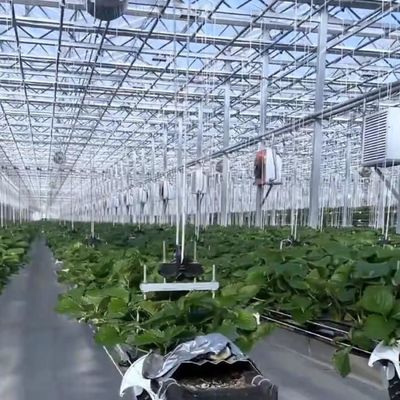 Hidroponía multi-espacio con buena transmisión de luz y opciones personalizables