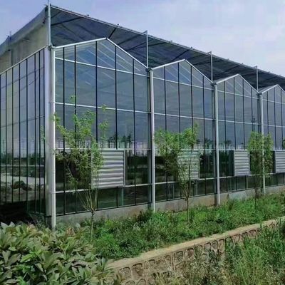Hidroponía multi-espacio con buena transmisión de luz y opciones personalizables