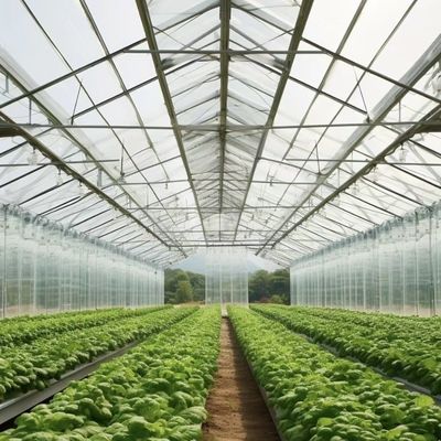 Hidroponía multi-espacio con buena transmisión de luz y opciones personalizables