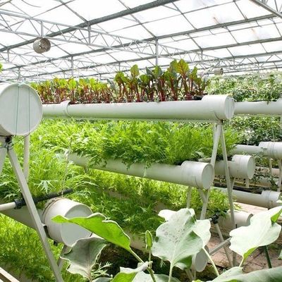 Personalización del sistema hidropónico de invernadero de alto rendimiento para la sostenibilidad comercial