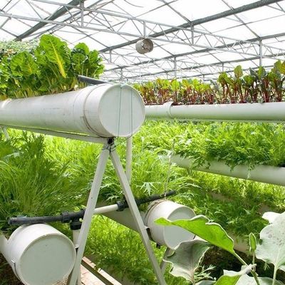6/9.6/12 metros Método de cultivo Sistema hidropónico para invernadero de película de Juxiang fácil