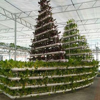 6/9.6/12 metros Método de cultivo Sistema hidropónico para invernadero de película de Juxiang fácil