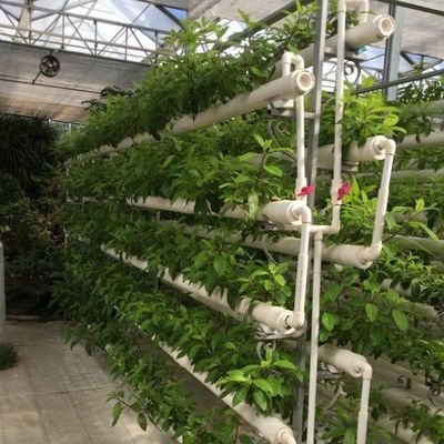 Sistema hidropónico innovador para el cultivo en invernaderos con película Opción de pago completo