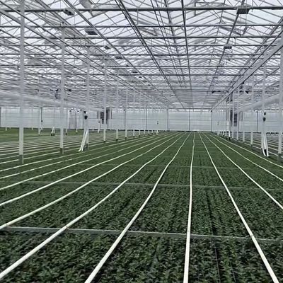 JX-A0064 Invernadero de vidrio hueco de sola capa flotante grande para el cultivo hidropónico
