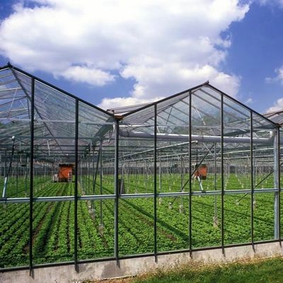 JX-A0064 Invernadero de vidrio hueco de sola capa flotante grande para el cultivo hidropónico
