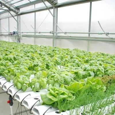 Sistema hidropónico de control climático de película invernadero con calefacción temporal por Juxiang