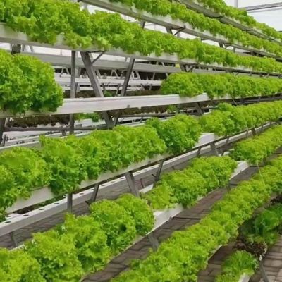 Sistema hidropónico de control climático de película invernadero con calefacción temporal por Juxiang
