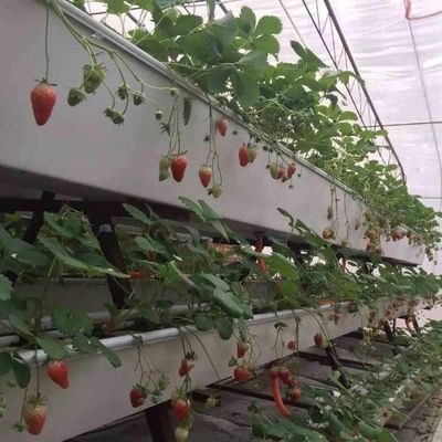 Sistema hidropónico de control climático de película invernadero con calefacción temporal por Juxiang