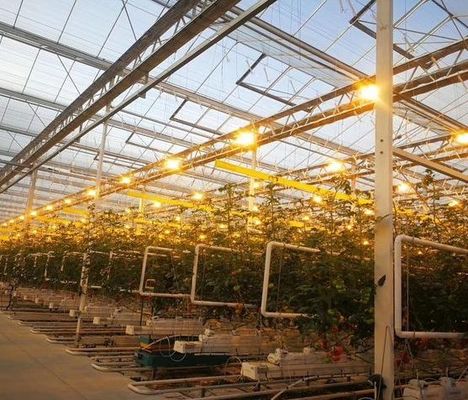 Invernadero de iluminación contra la niebla por goteo para el cultivo de semillas
