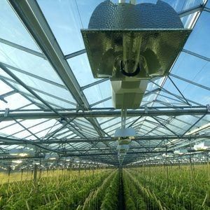 Invernadero de iluminación contra la niebla por goteo para el cultivo de semillas
