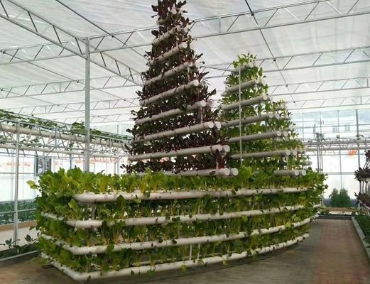 Instalación hidropónica de invernadero de vidrio para el cultivo durante todo el año Costo de envío asequible