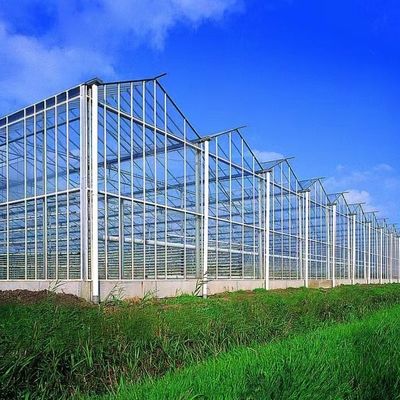 Sistema de hidroponía de invernadero de vidrio a un precio razonable para necesidades agrícolas a gran escala