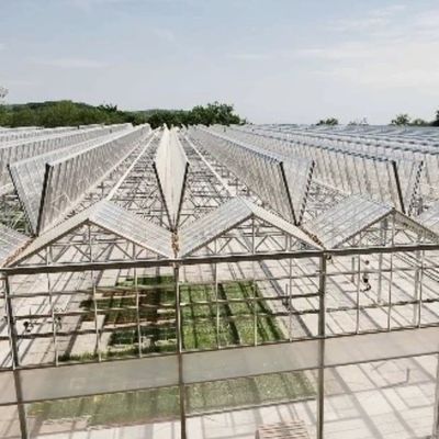 Sistema de hidroponía de invernadero de vidrio a un precio razonable para necesidades agrícolas a gran escala