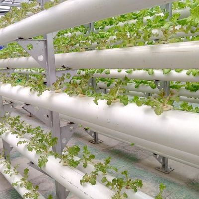 9.6m invernadero de película para obtener el rendimiento máximo en el cultivo sin suelo y el pago inicial