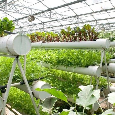 9.6m invernadero de película para obtener el rendimiento máximo en el cultivo sin suelo y el pago inicial