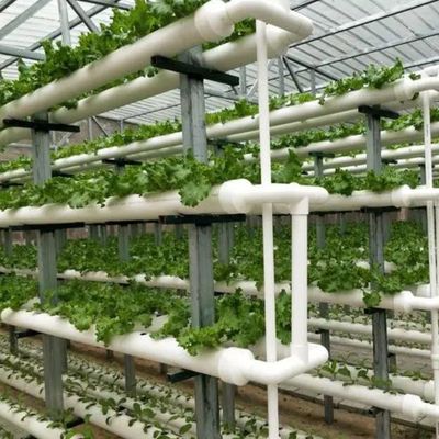 Soluciones temporales de calefacción para los invernaderos de vidrio