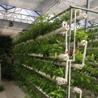 Soluciones temporales de calefacción para los invernaderos de vidrio