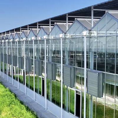 Sistema hidropónico de invernadero de vidrio de múltiples tramos para unas condiciones óptimas de crecimiento de vegetales