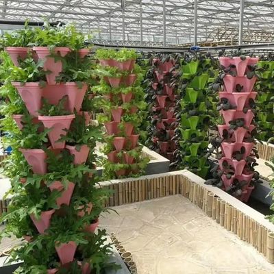 Sistema hidropónico de invernaderos agrícolas a gran escala con método de calentamiento temporal