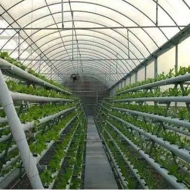 Sistema hidropónico de invernaderos agrícolas a gran escala con método de calentamiento temporal