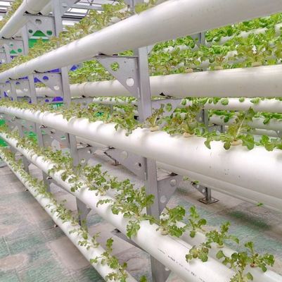 Sistema hidropónico de invernaderos agrícolas a gran escala con método de calentamiento temporal