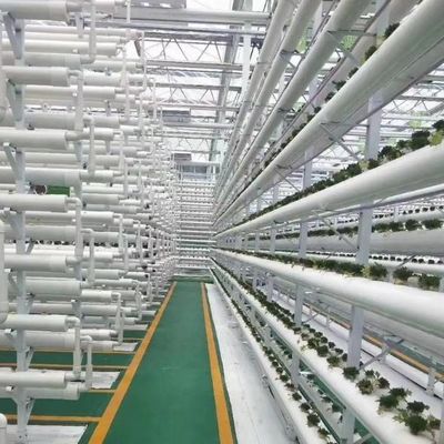 Sistema hidropónico de invernaderos agrícolas a gran escala con método de calentamiento temporal