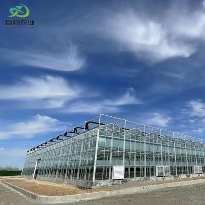 Estructura de tubería de acero galvanizado por inmersión en caliente de tipo de vidrio Venlo para Juxiang