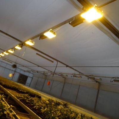 Entorno controlado Invernadero de plantación iluminado con cubierta de vidrio e iluminación