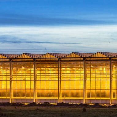 Entorno controlado Invernadero de plantación iluminado con cubierta de vidrio e iluminación