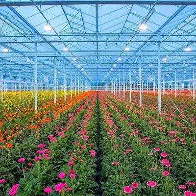 Sistema hidropónico de invernadero de vidrio para verduras y flores Tecnología avanzada