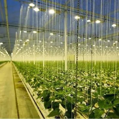 Invernadero de cultivo con iluminación regulada por humedad 12.09cm * 2.35cm * 2.39cm Tamaño del paquete