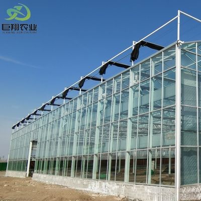 Invernadero agrícola con cubierta de vidrio de tipo película de arco de múltiples tramos personalizado