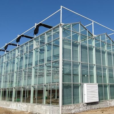 Vidrio de doble capa con sistema de control climático para agricultura y agricultura personalizada