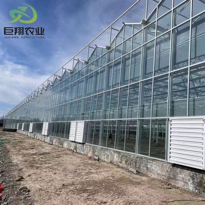 Vidrio de doble capa con sistema de control climático para agricultura y agricultura personalizada
