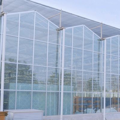 Método de cultivo hidropónico Agricultura Invernadero de vidrio para tomate/frutas templado