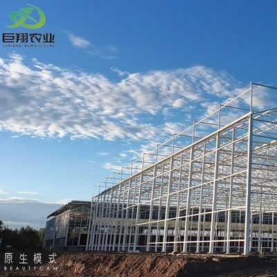 Método de cultivo hidropónico Agricultura Invernadero de vidrio para tomate/frutas templado
