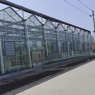 Invernadero agrícola de vidrio grande y estilo Venlo con sistema de control automático