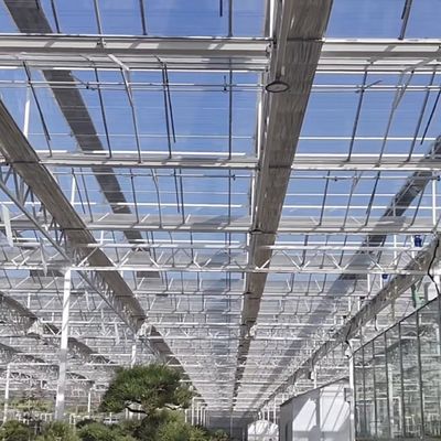 Invernadero agrícola de vidrio grande y estilo Venlo con sistema de control automático