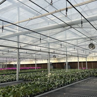 Invernadero agrícola de vidrio grande y estilo Venlo con sistema de control automático