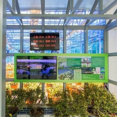 Invernadero a medida para la agricultura Vidrio comercial/vidrio templado/vidrio flotante